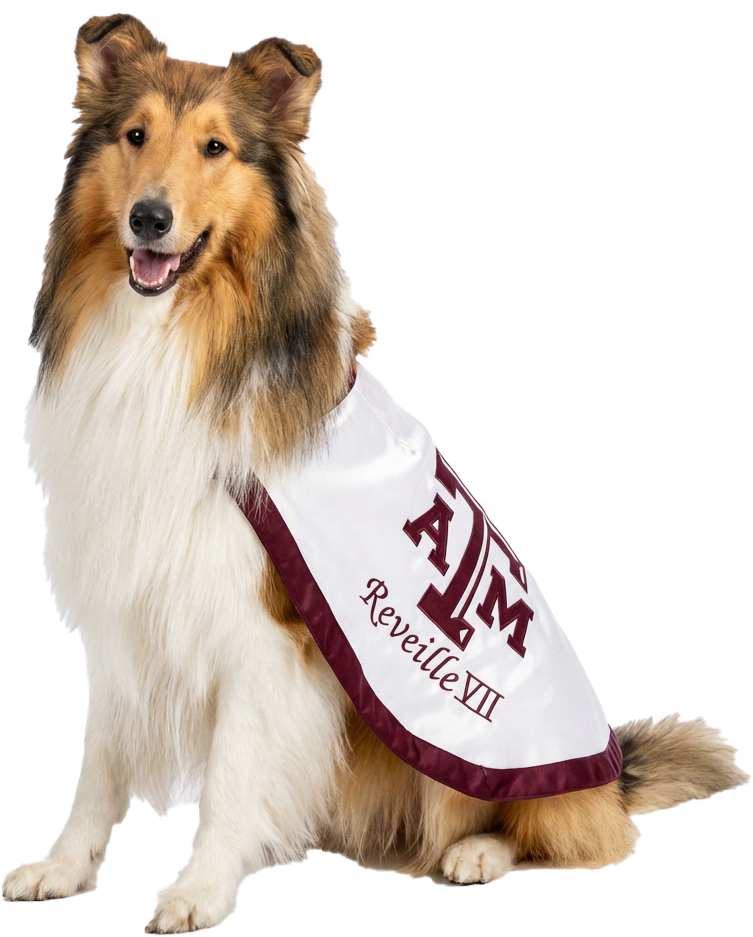 Reveille VII_edited.png